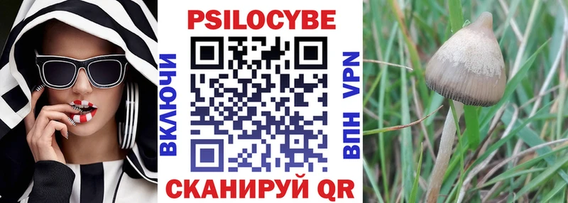 Купить закладки  Нягань  Псилоцибиновые грибы Cubensis 